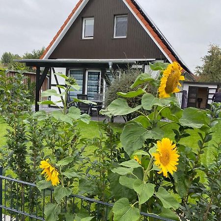 Ferienhaus Kiebitz Dorumer Neufeld Bagian luar foto