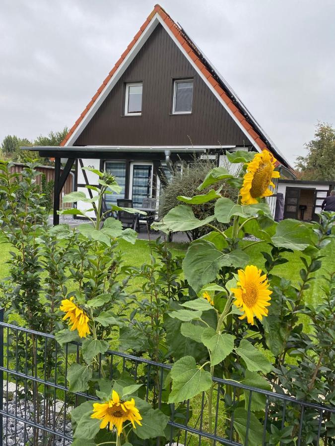 Ferienhaus Kiebitz Dorumer Neufeld Bagian luar foto